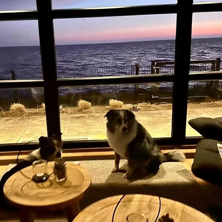 Enkhuizer First Line Erste Reihe Mit Zaun Haus Nr 214 Σπίτι διακοπών