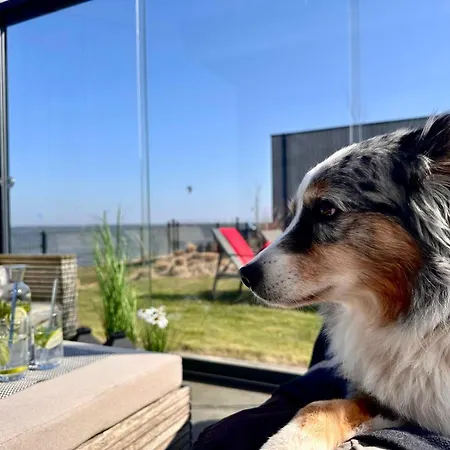 Enkhuizer First Line Erste Reihe Mit Zaun Haus Nr 214 Enkhuizen